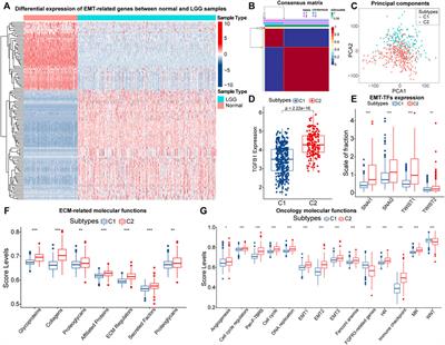 Identification of EMT-Related Genes and Prognostic Signature With Significant Implications on Biological Properties and Oncology Treatment of Lower Grade Gliomas